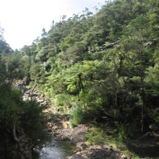 2018-NZ-travel-1031