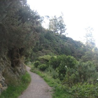 2018-NZ-travel-1033
