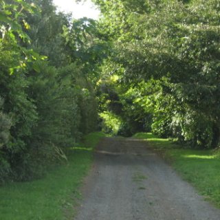 2018-NZ-travel-1039
