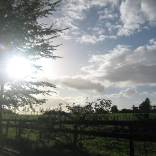 2018-NZ-travel-1042