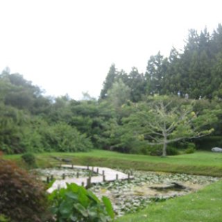2018-NZ-travel-1045