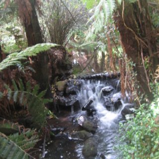 2018-NZ-travel-1051