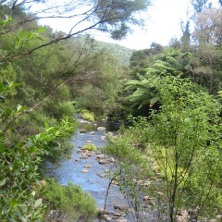 2018-NZ-travel-1066