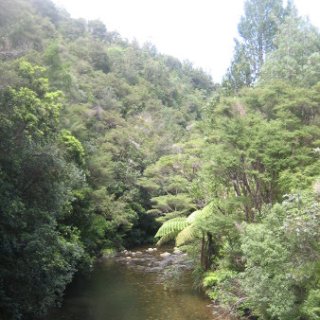 2018-NZ-travel-1068
