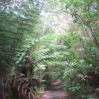 2018-NZ-travel-1069
