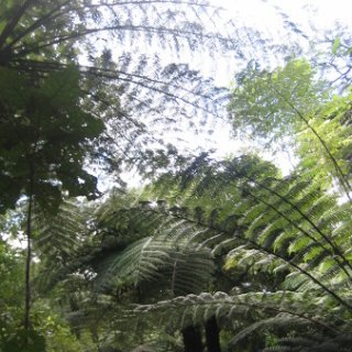 2018-NZ-travel-1070