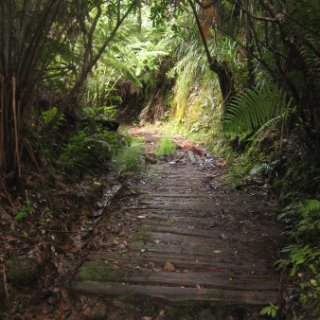 2018-NZ-travel-1072