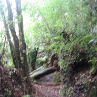 2018-NZ-travel-1074