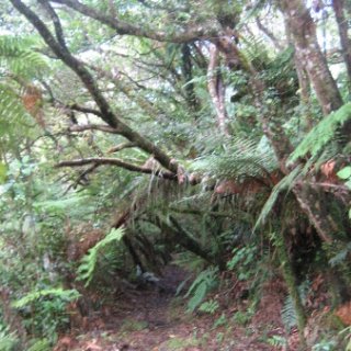2018-NZ-travel-1075