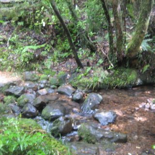 2018-NZ-travel-1076