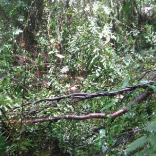2018-NZ-travel-1078