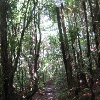 2018-NZ-travel-1079
