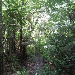 2018-NZ-travel-1080