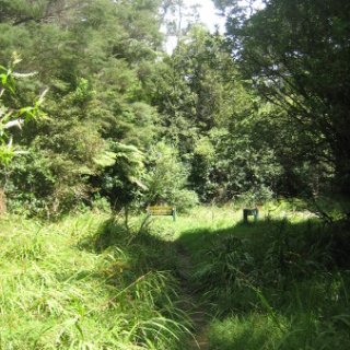 2018-NZ-travel-1081