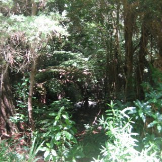 2018-NZ-travel-1083