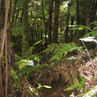 2018-NZ-travel-1085
