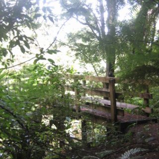 2018-NZ-travel-1086