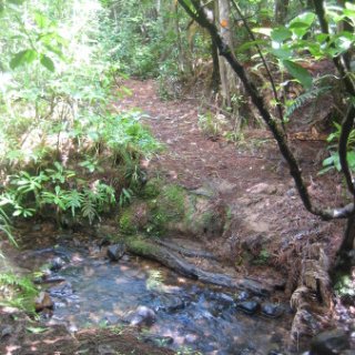 2018-NZ-travel-1090
