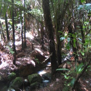 2018-NZ-travel-1091