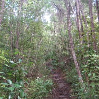 2018-NZ-travel-1093