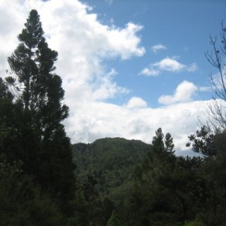 2018-NZ-travel-1096