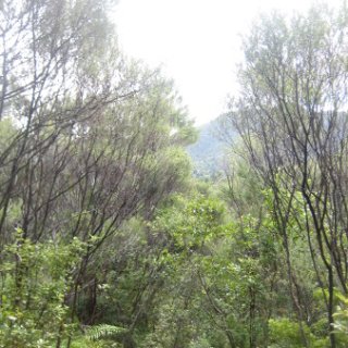 2018-NZ-travel-1099