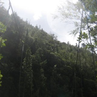 2018-NZ-travel-1107
