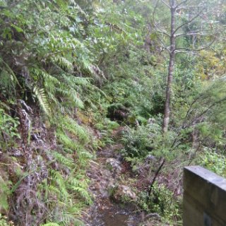 2018-NZ-travel-1112