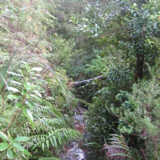 2018-NZ-travel-1114