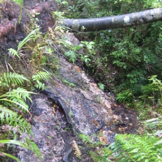 2018-NZ-travel-1115