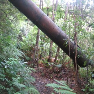 2018-NZ-travel-1116