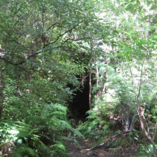 2018-NZ-travel-1117