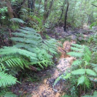 2018-NZ-travel-1119