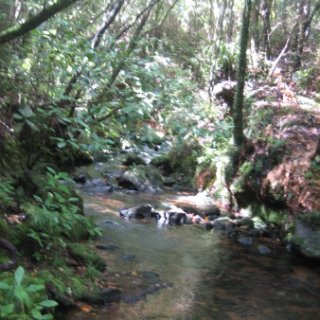 2018-NZ-travel-1120