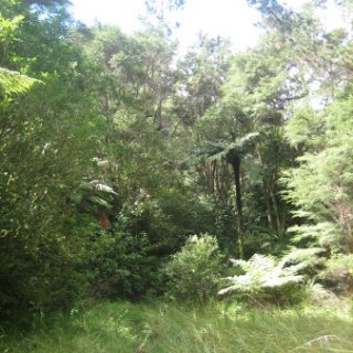 2018-NZ-travel-1121