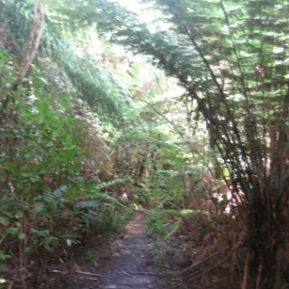 2018-NZ-travel-1122