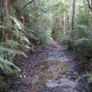 2018-NZ-travel-1123