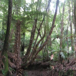 2018-NZ-travel-1124