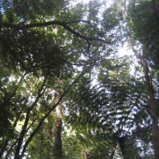 2018-NZ-travel-1125