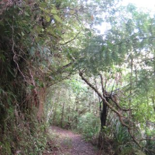 2018-NZ-travel-1126