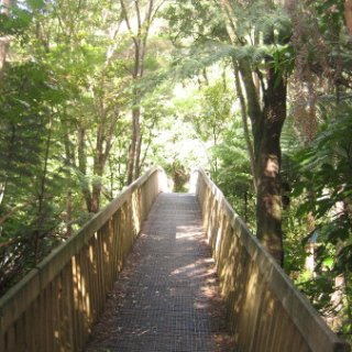 2018-NZ-travel-1127