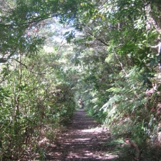 2018-NZ-travel-1128