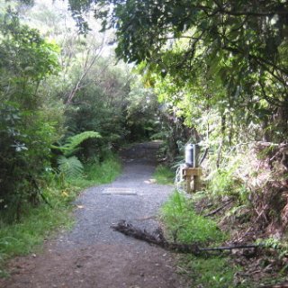 2018-NZ-travel-1130