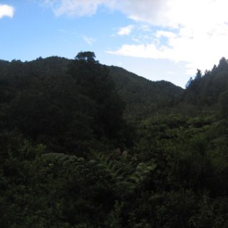 2018-NZ-travel-1157