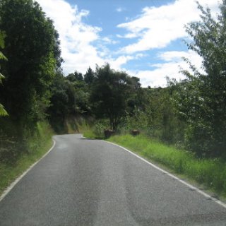 2018-NZ-travel-1162
