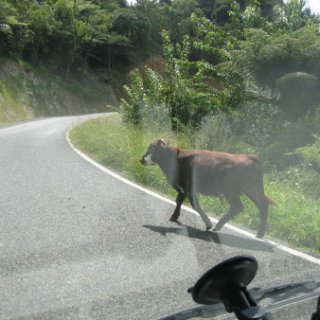 2018-NZ-travel-1164