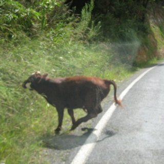 2018-NZ-travel-1165