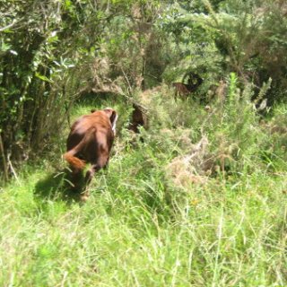2018-NZ-travel-1166