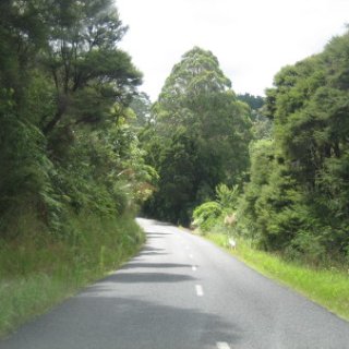 2018-NZ-travel-1167