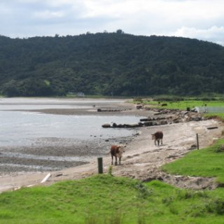 2018-NZ-travel-1173
